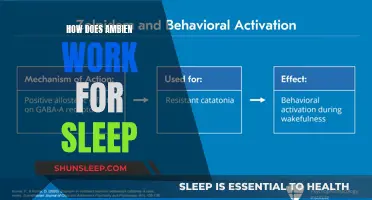 Understanding Ambien's Role in Sleep Induction and Maintenance