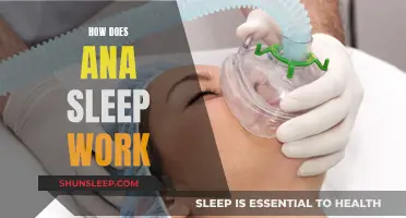Understanding Ana Sleep: A Unique Resting Process