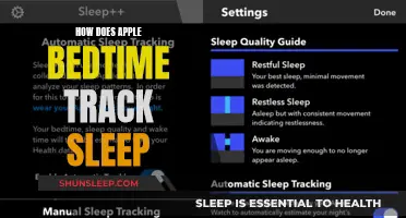 Apple's Bedtime Feature: Tracking Sleep, Explained