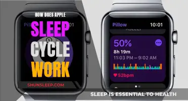 Apple's Sleep Cycle: Understanding the Science Behind It
