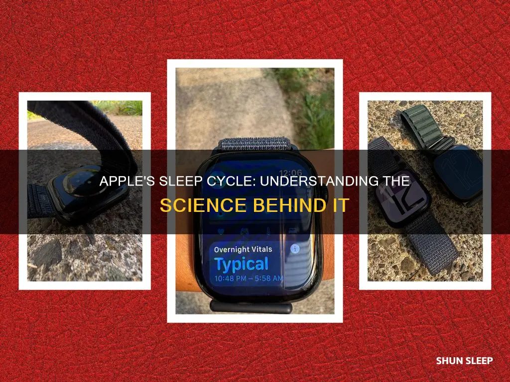 how does apple sleep cycle work