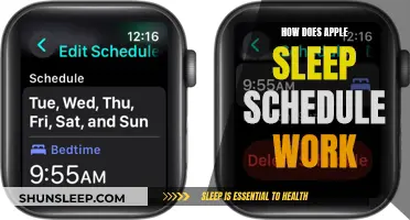 Apple Sleep Schedule: Understanding the Science Behind It