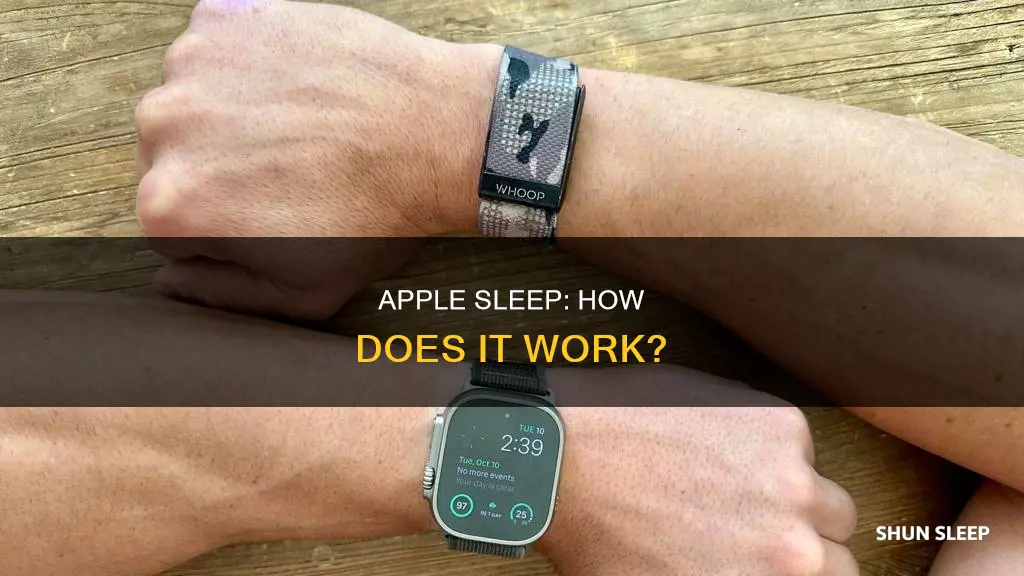how does apple sleep work