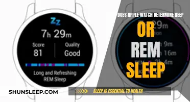 Apple Watch Sleep Tracking: Deep and REM Sleep Insights