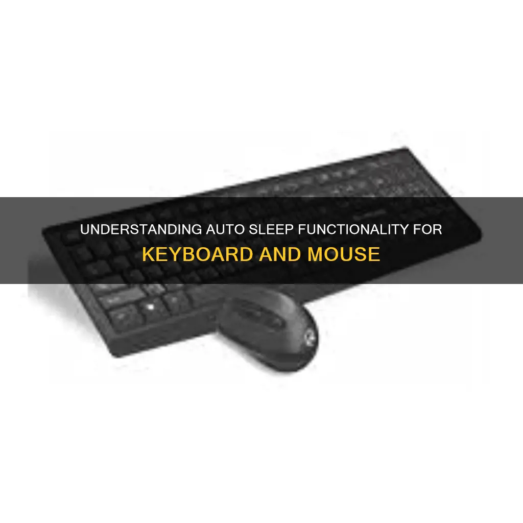 how does auto sleep work keyboard mouse