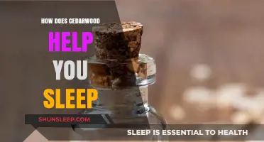 Cedarwood's Soothing Aromatherapy Benefits for Better Sleep and Relaxation