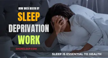 Sleep Deprivation: Fatal Insomnia and Death