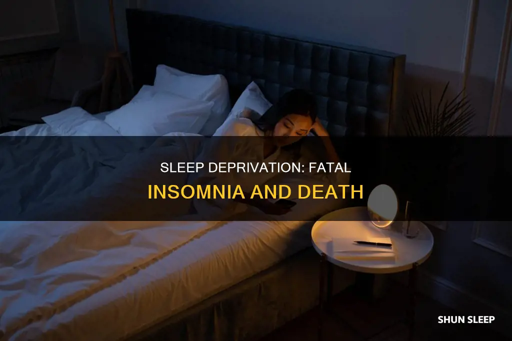 how does death by sleep deprivation work
