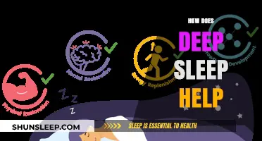 Deep Sleep's Vital Role: Enhancing Health, Memory, and Recovery Naturally