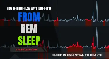 Understanding Deep Sleep: Slow-Wave vs. REM Sleep