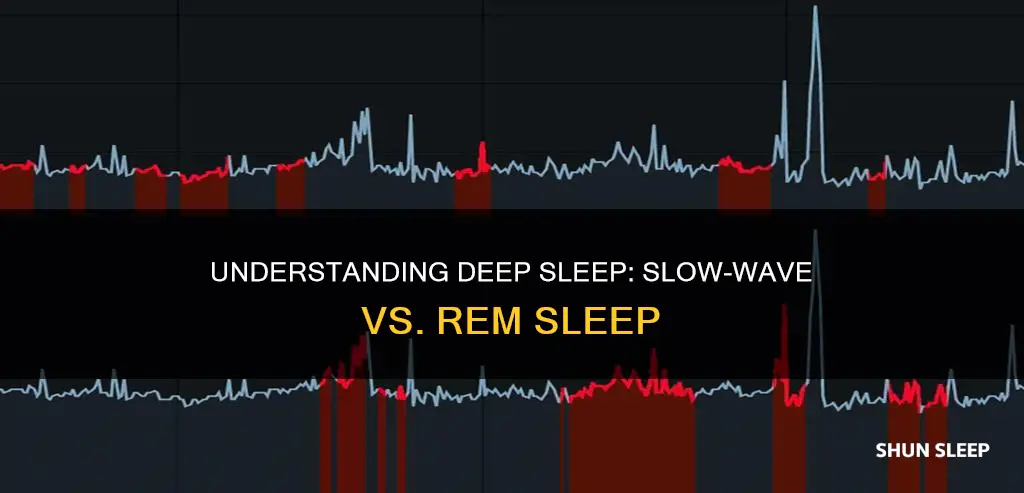 how does deep slow-wave sleep differ from rem sleep