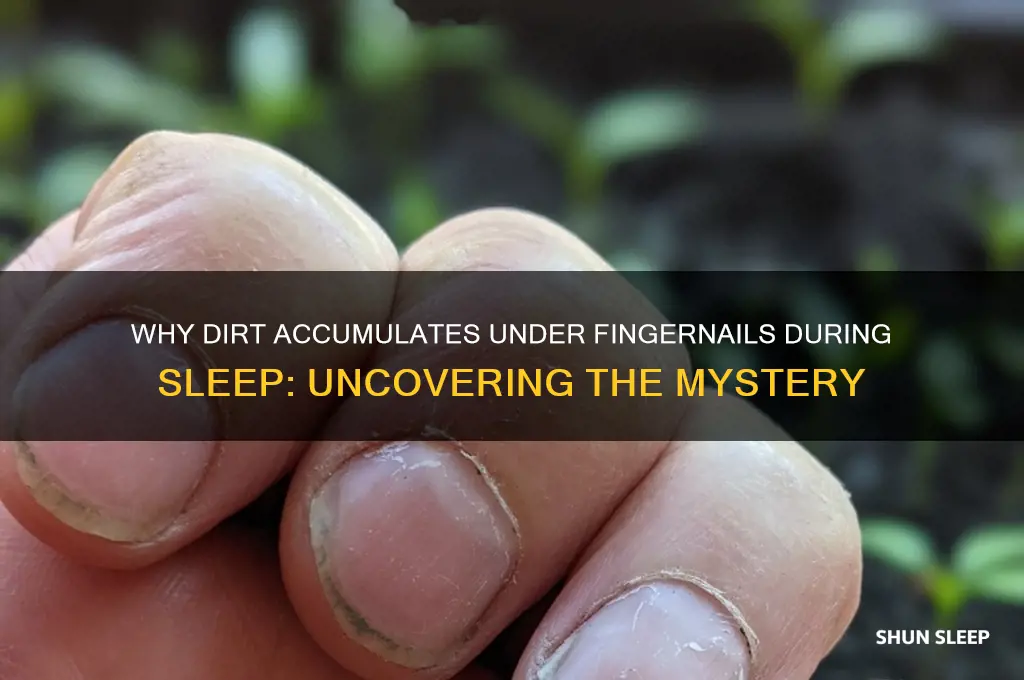 how does dirt get under your fingernails when you sleeping
