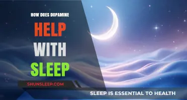 Dopamine's Role in Enhancing Sleep Quality and Restful Nights