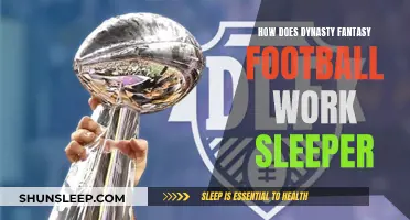 Understanding Dynasty Fantasy Football and Sleeper Rules