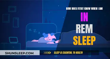 Fitbit's REM Sleep Tracking: How Does it Work?