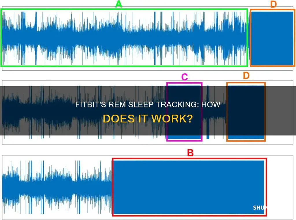 how does fitbit know when i am in rem sleep
