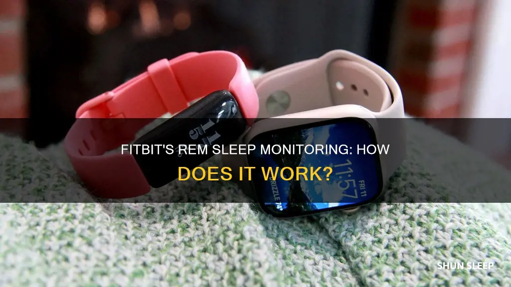 how does fitbit monitor rem sleep