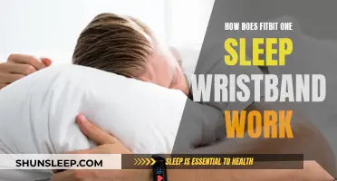 Fitbit One Sleep Wristband: How Does It Work?