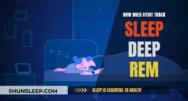 Fitbit's Sleep Tracking: Understanding Your Deep Sleep and REM