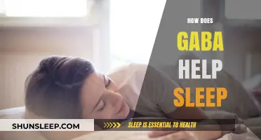 GABA's Role in Enhancing Sleep Quality and Relaxation Explained