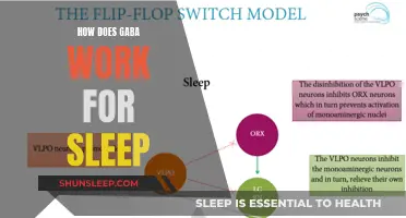 GABA's Role in Sleep: Understanding the Science