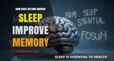 Sleep Smarter: How Quality Rest Enhances Memory and Cognitive Function