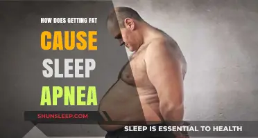 Weight Gain and Sleep Apnea: Understanding the Connection and Risks