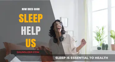 Unlocking Productivity: How Quality Sleep Transforms Mind, Body, and Energy