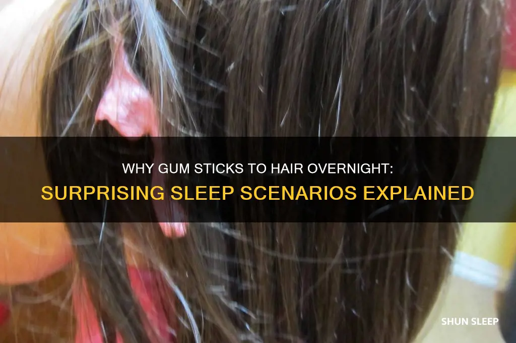 how does gum get in your hair when you sleep