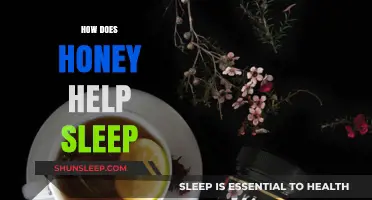 Honey's Natural Sleep Aid: Benefits, Science, and Bedtime Tips
