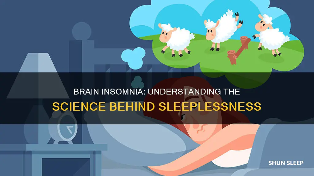 how does insomnia work in the brain