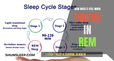 Exploring the Intriguing World of REM Sleep