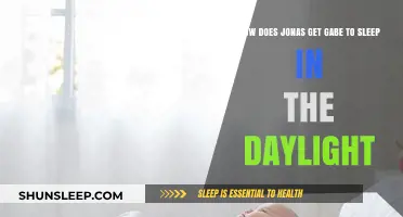 Jonas' Daytime Sleep Strategy: Helping Gabe Rest in Daylight Hours