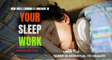 Sleep Learning: Can You Master a Language in Your Sleep?