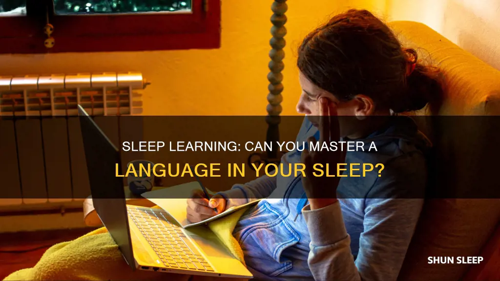 how does learning a language in your sleep work