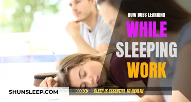 Sleep Learning: Can You Learn While Asleep?