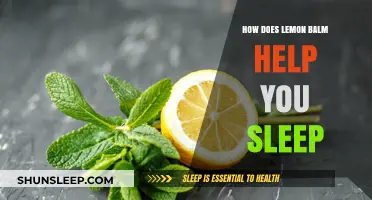 Lemon Balm's Soothing Power: Enhancing Sleep Quality Naturally and Effectively