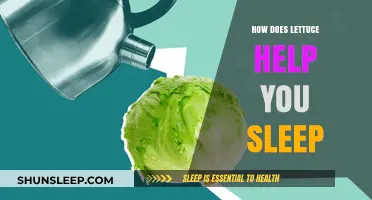 Lettuce and Sleep: Unveiling the Surprising Benefits for Better Rest