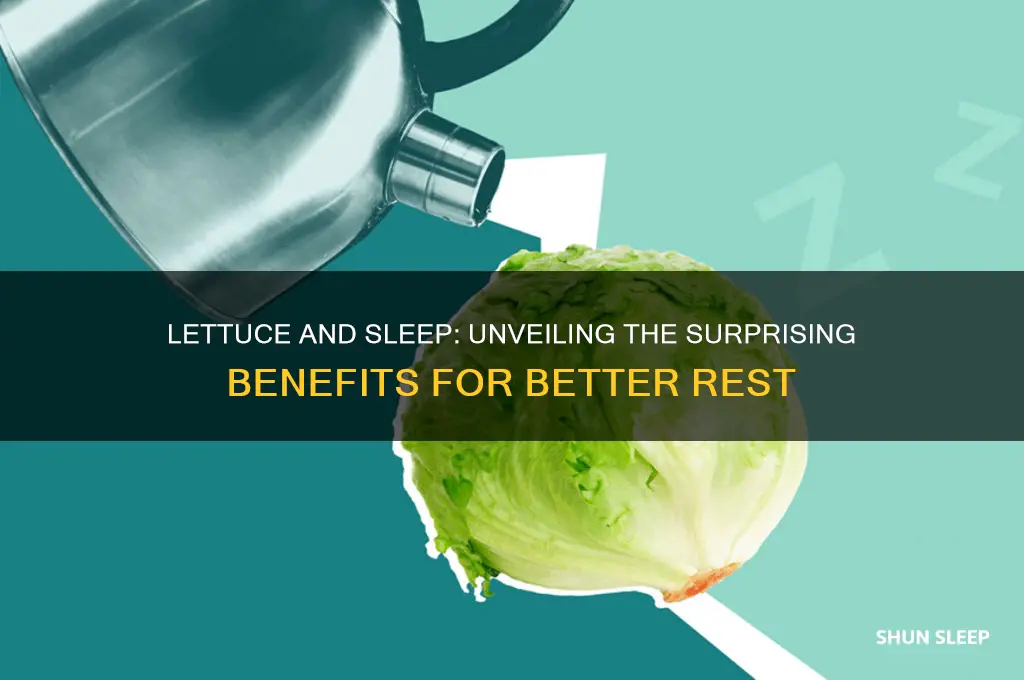 how does lettuce help you sleep