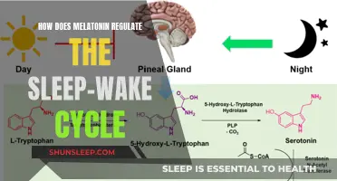 Melatonin's Magic: Unlocking the Secrets of the Sleep-Wake Cycle