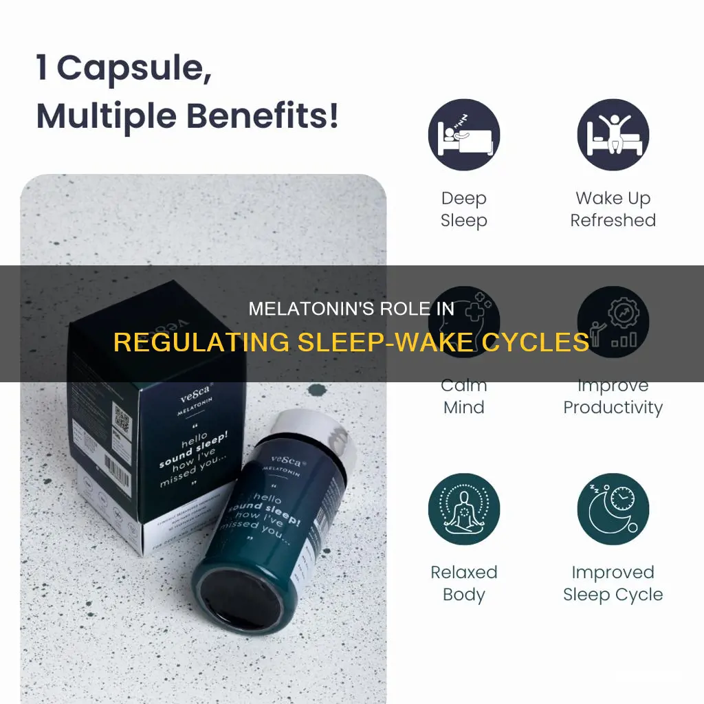how does melatonin regulate the sleep-wake cycle