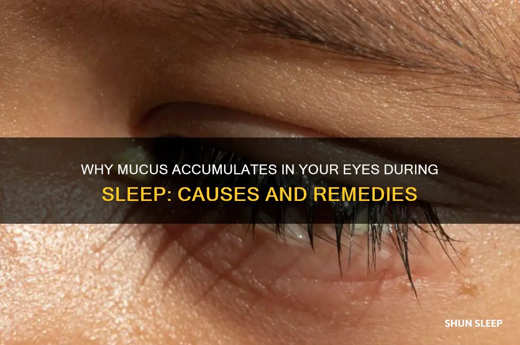 how does mucus get on eyes sleep