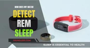 Understanding Watch-Based REM Sleep Detection