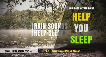 Nature's Lullabies: How Natural Sounds Enhance Sleep Quality and Relaxation