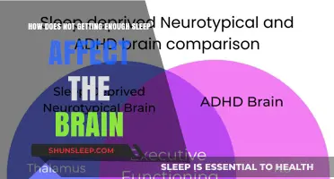 Sleep Deprivation's Impact: How Lack of Sleep Affects Brain Function