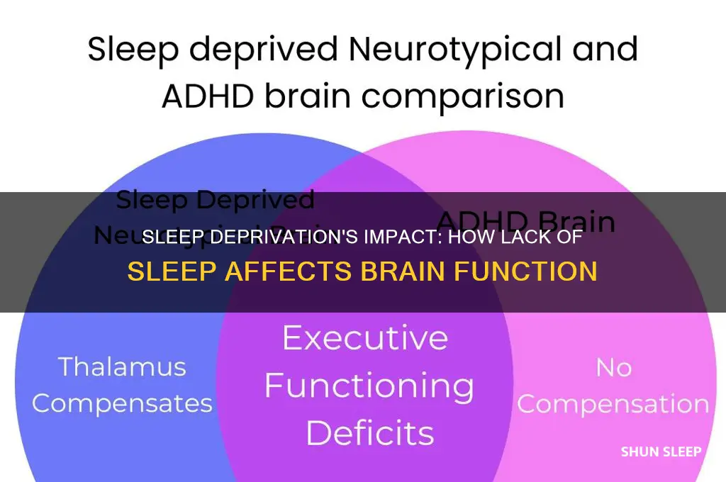 how does not getting enough sleep affect the brain