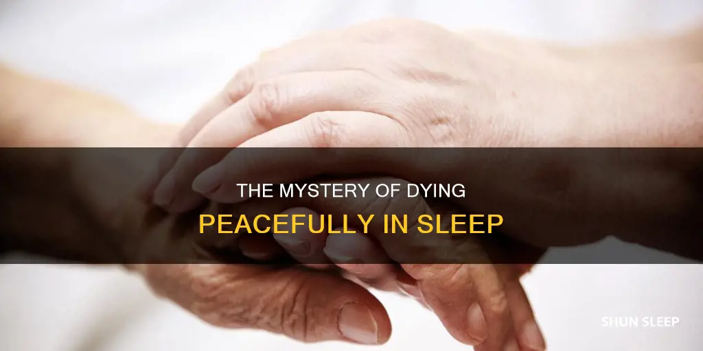 how does one die in thier sleep from old age