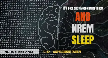 Moods and Sleep: REM vs NREM