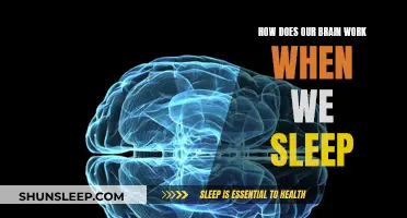 Brain Activity During Sleep: Unlocking the Mystery
