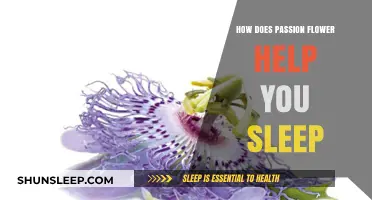 Passion Flower's Sleep Benefits: Natural Remedies for Restful Nights